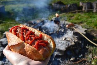 Hot dog - potentsi kahjustav toit